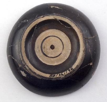 Marian Venceslá Delgado (CERES)